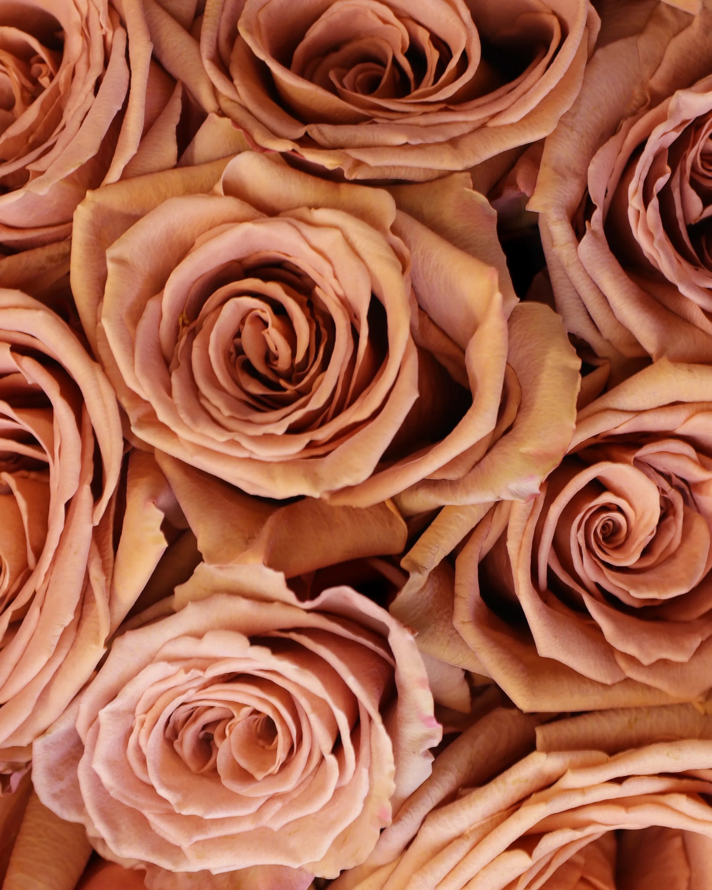 Our Signature Aesthetic at Mokosh Flowers