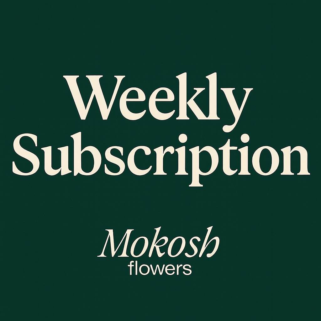 Weekly Subscription
