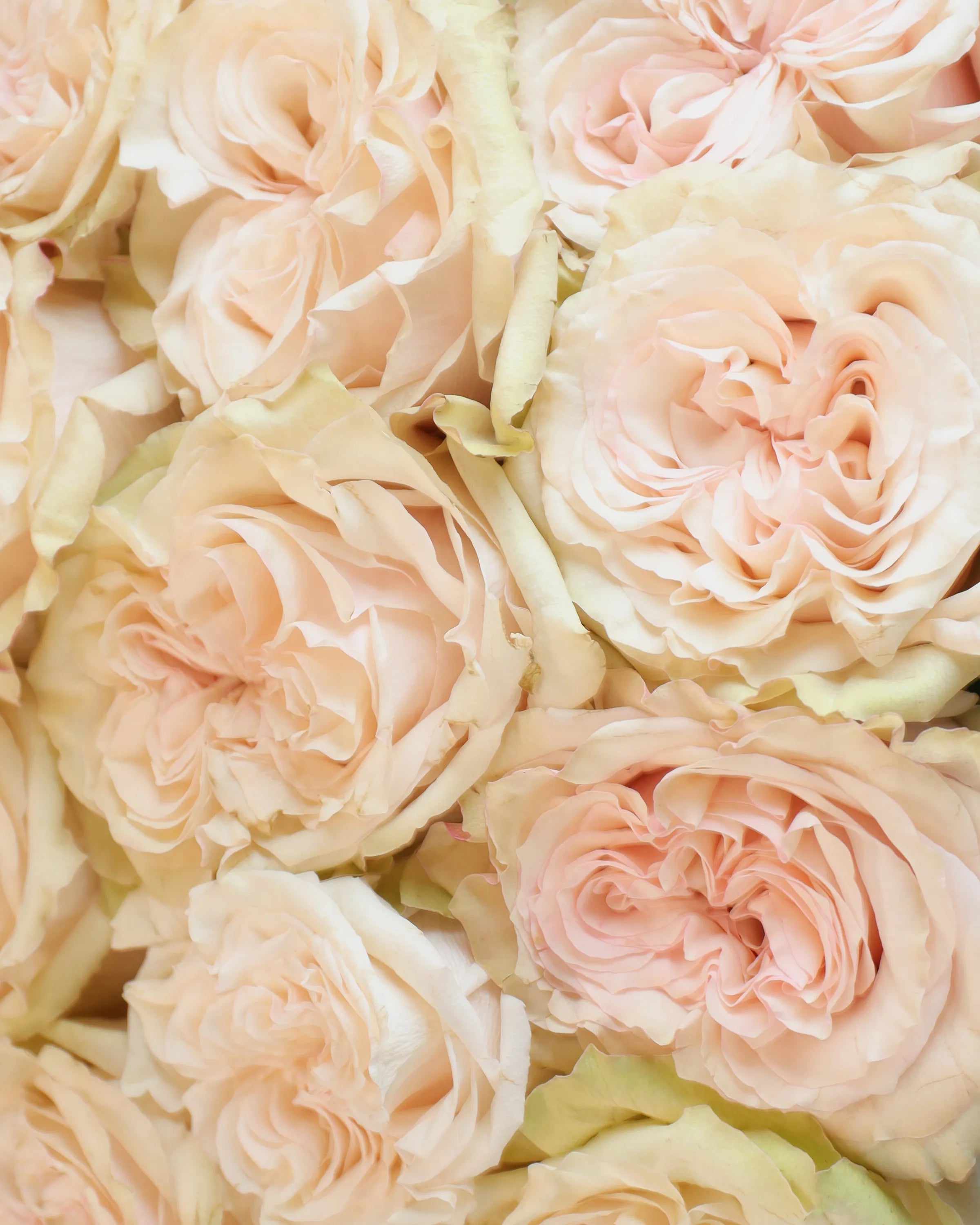 Country Secret Bouquet