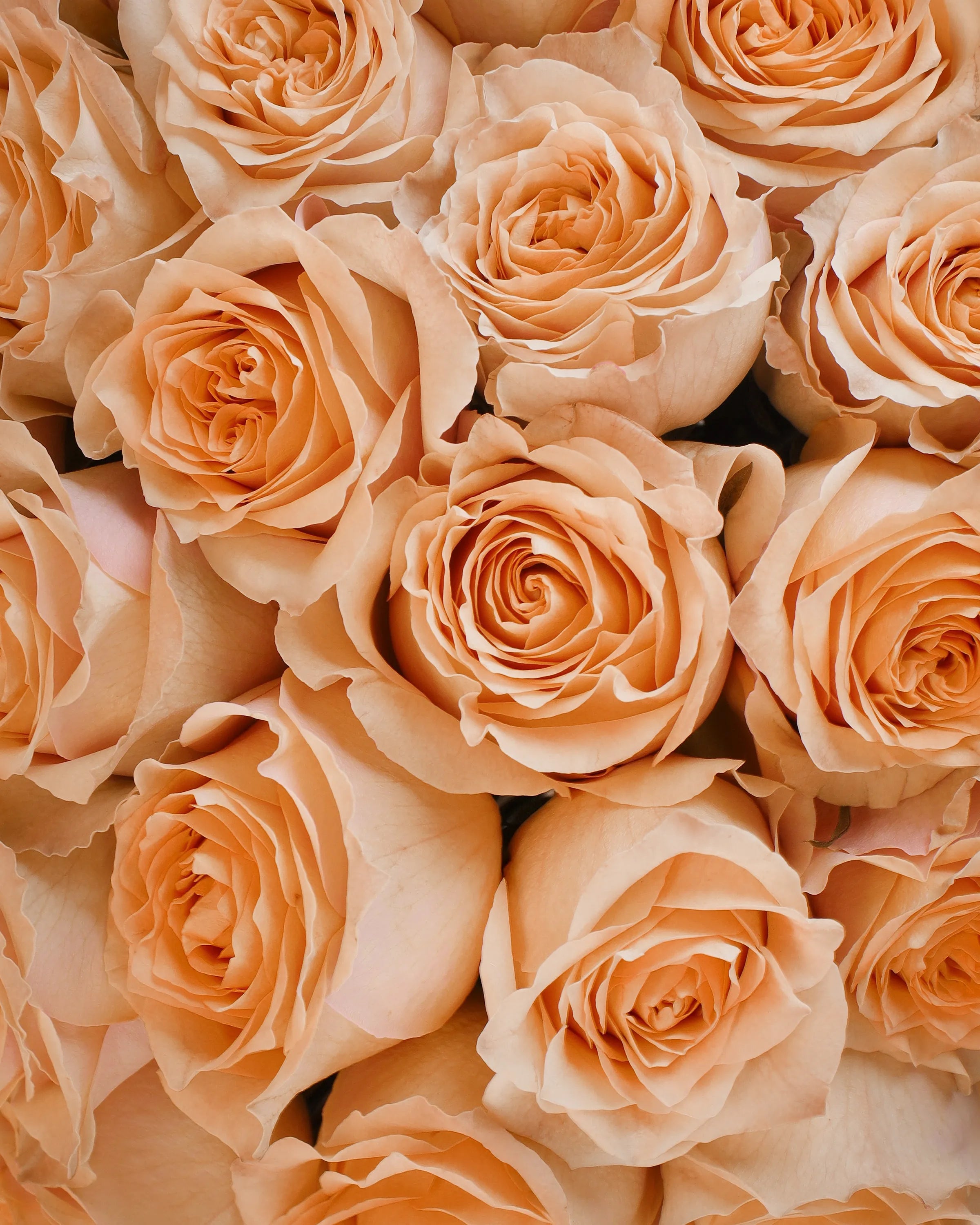 Caramel Macchiato Bouquet